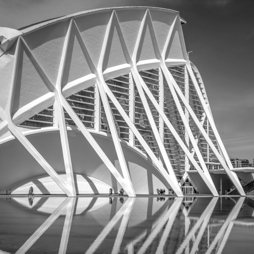 Museo de las Ciencias Principe Felipe - Valencia