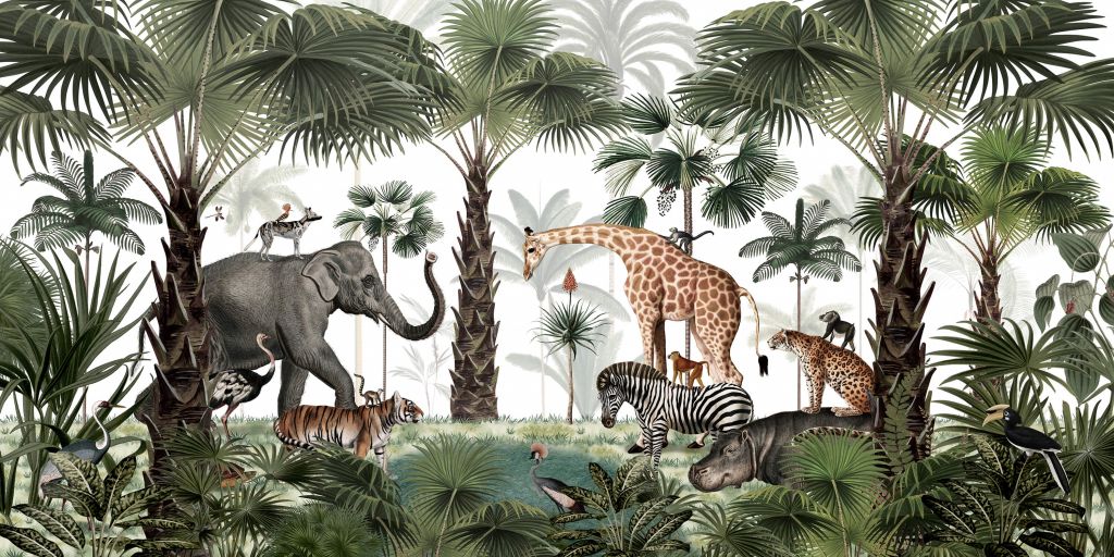 Animal Kingdom