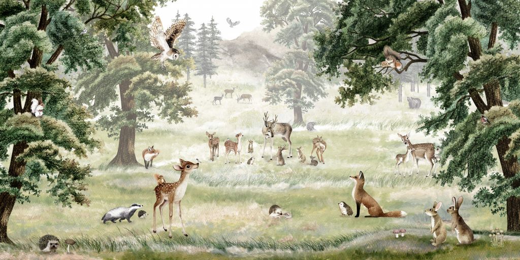 Forest Fun