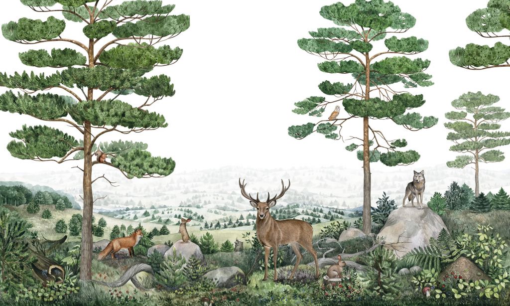 Forest Vista