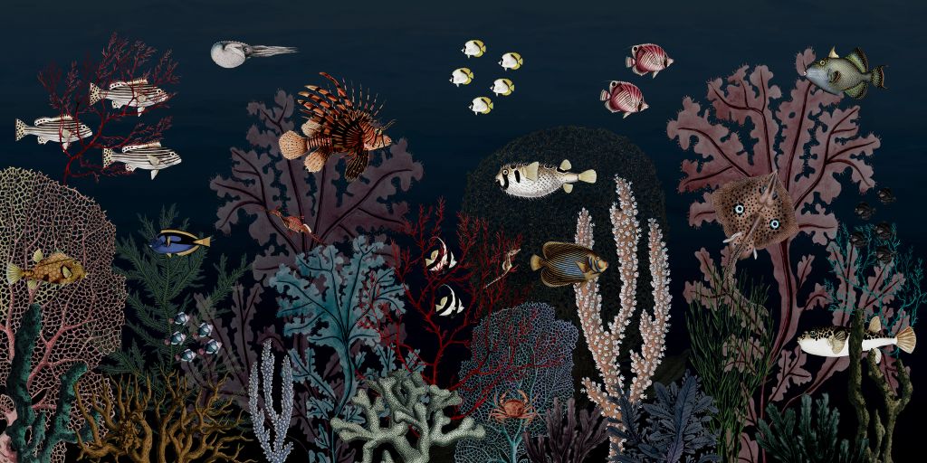 Roaring Reef - Blue