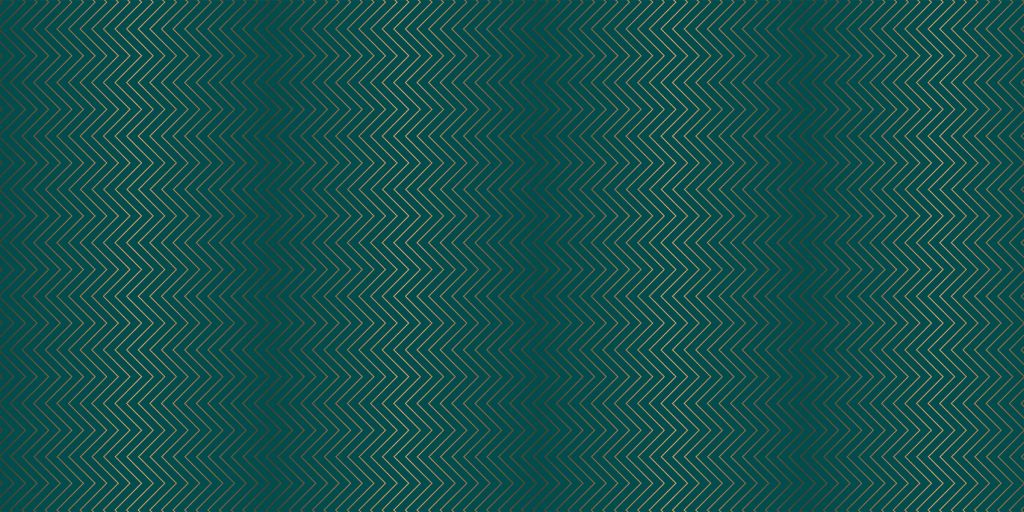 Cerceta zigzag