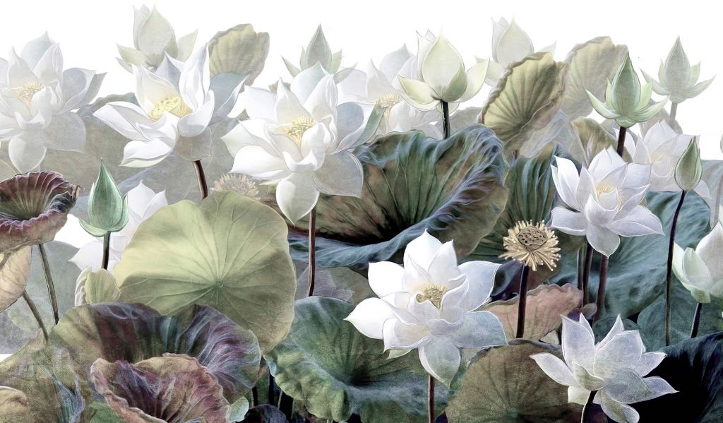 Pintorescas flores de loto