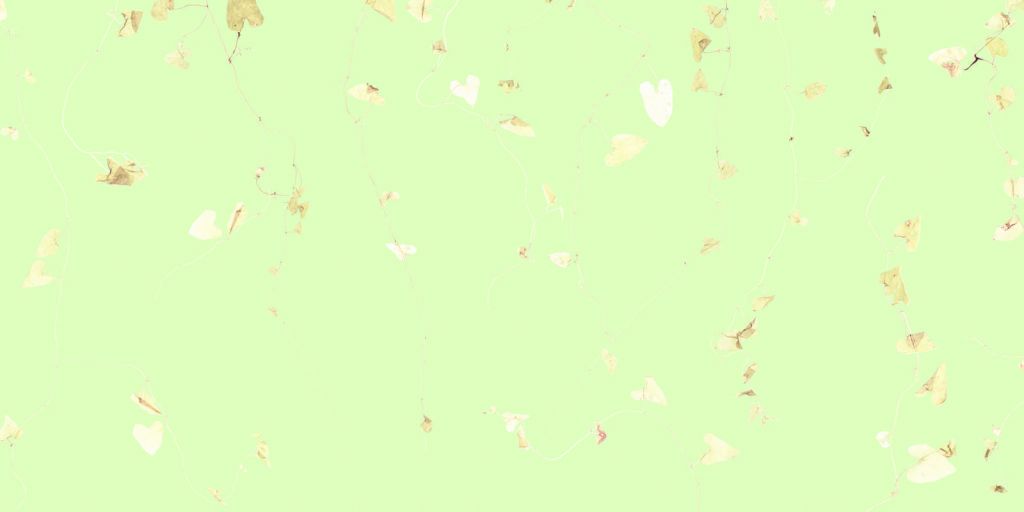 Ramas de lima - verde fresco