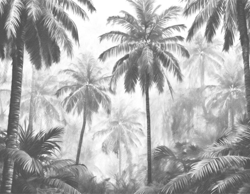 Bosque de Palmas Nebuloso
