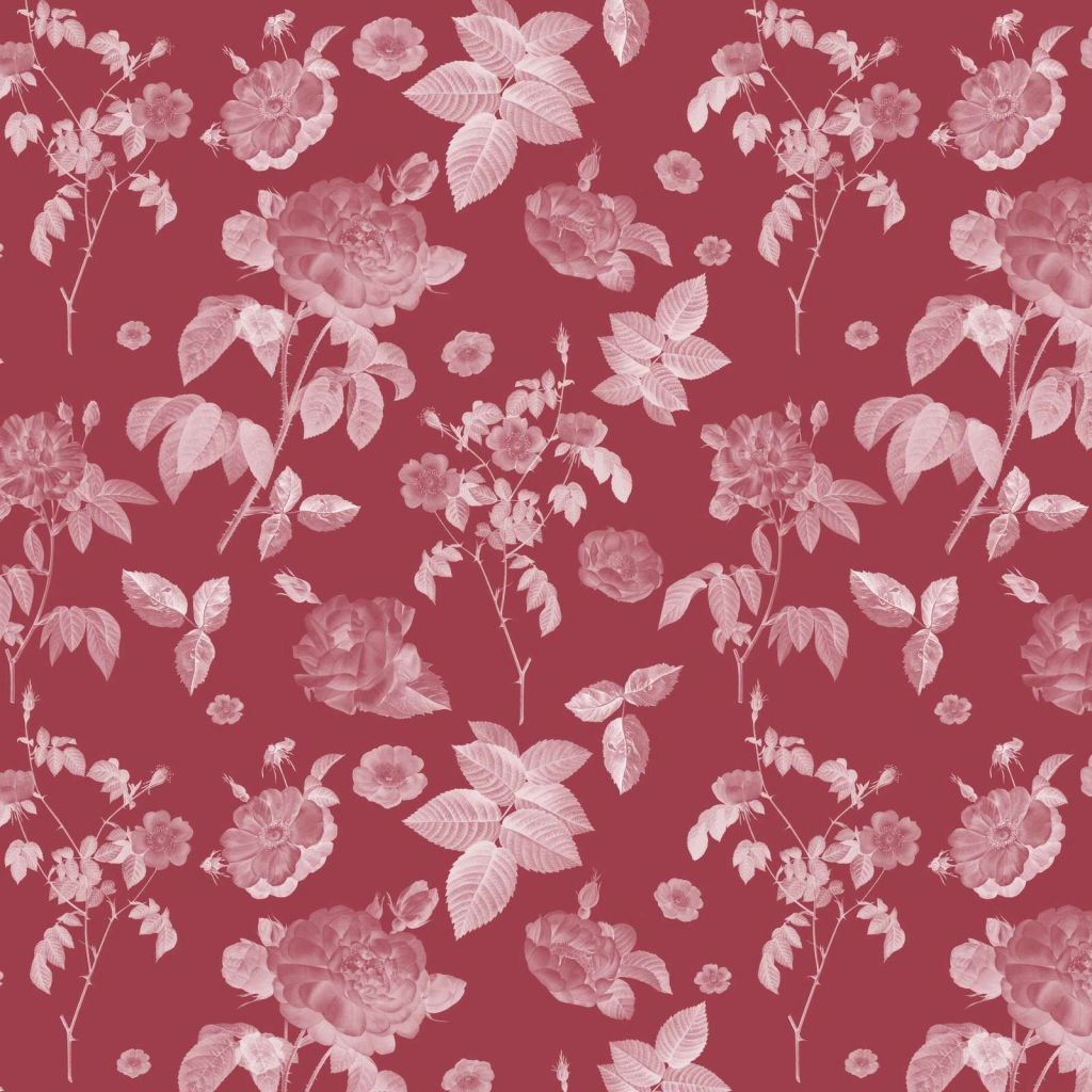 Blushing beauties