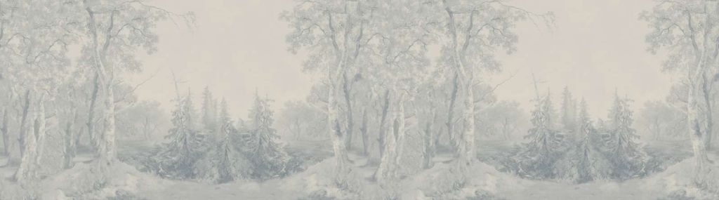 Paisaje Forestal Panorama Azul