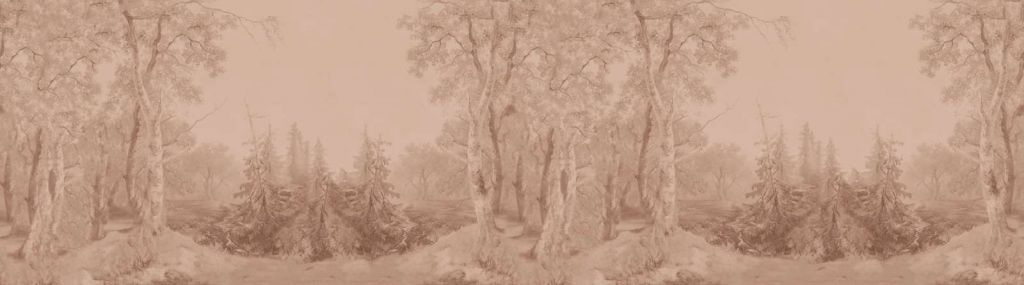 Paisaje Forestal Terra Panorama