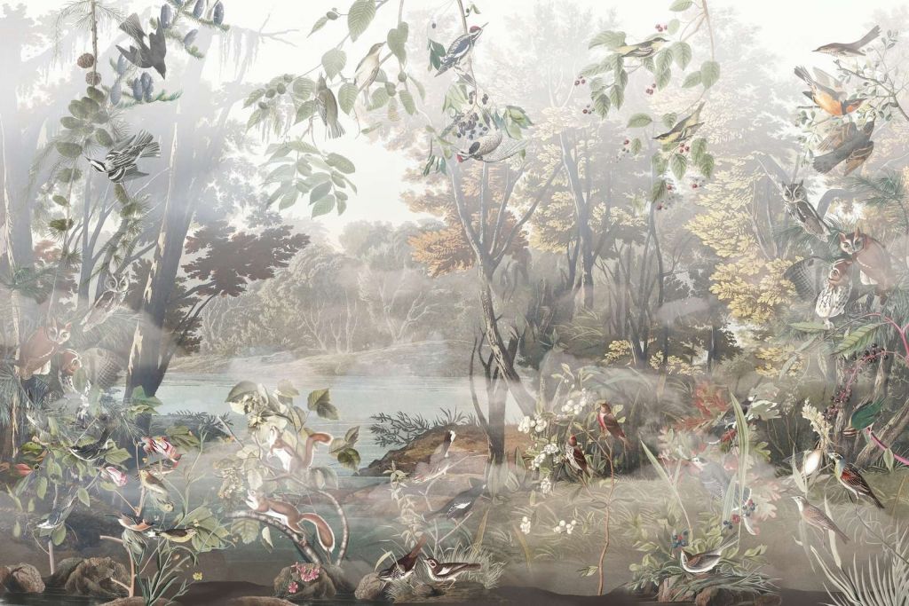 Bosques Místicos Aves