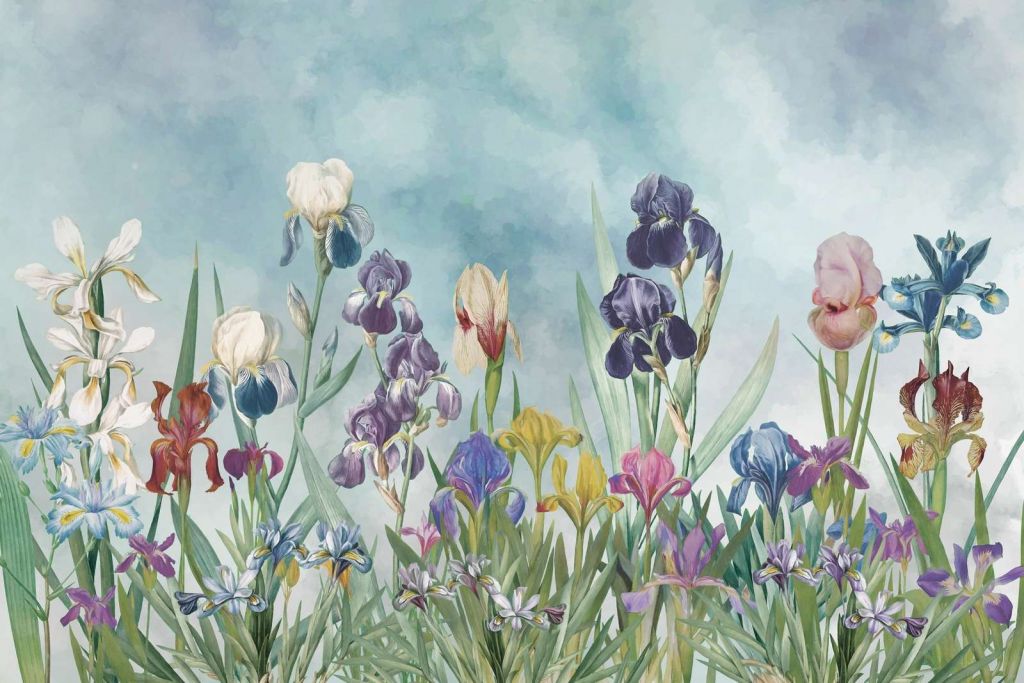 Campo de Iris