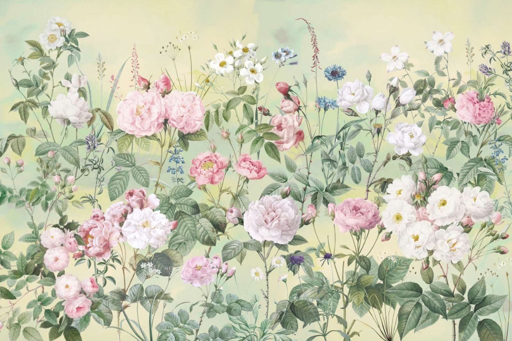 Jardín de Rosas Romántico