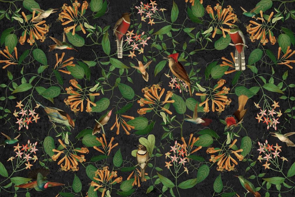 Melodía del Jardín de Medianoche