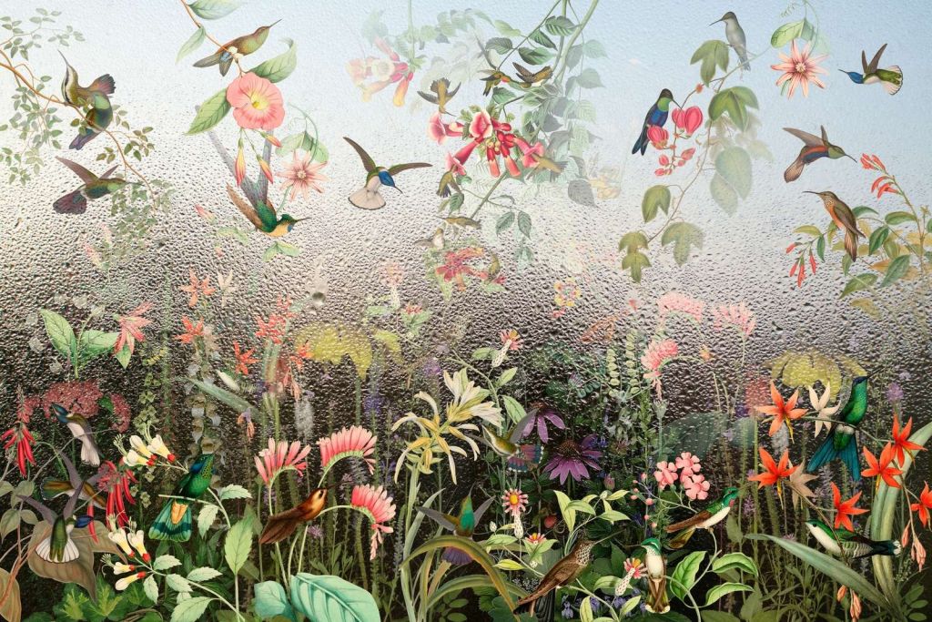 Paraíso de Aves Lluviosas