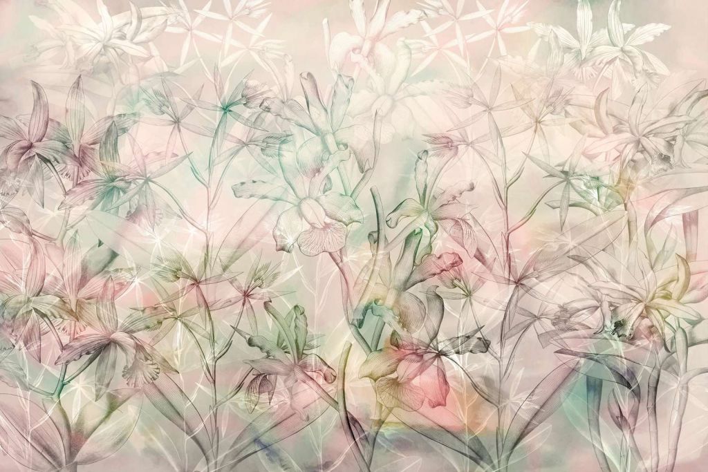 Espejismo de Orquídea en suaves pasteles
