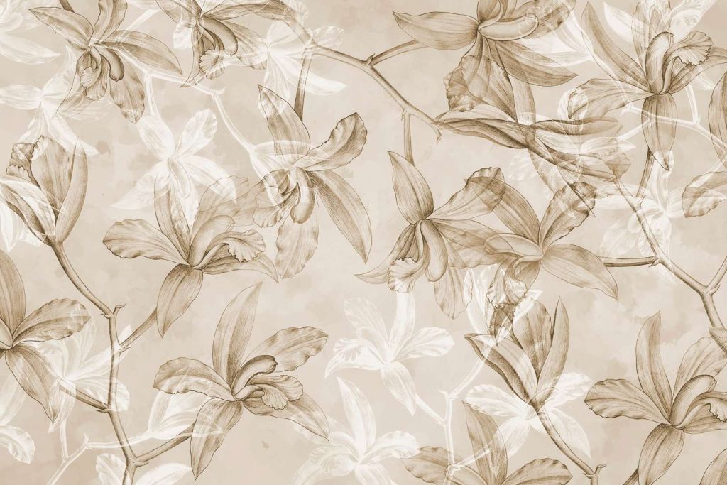 Sueño de Orquídea Sepia