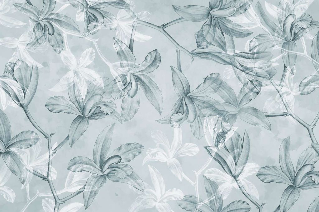 Sueño de Orquídea Verde