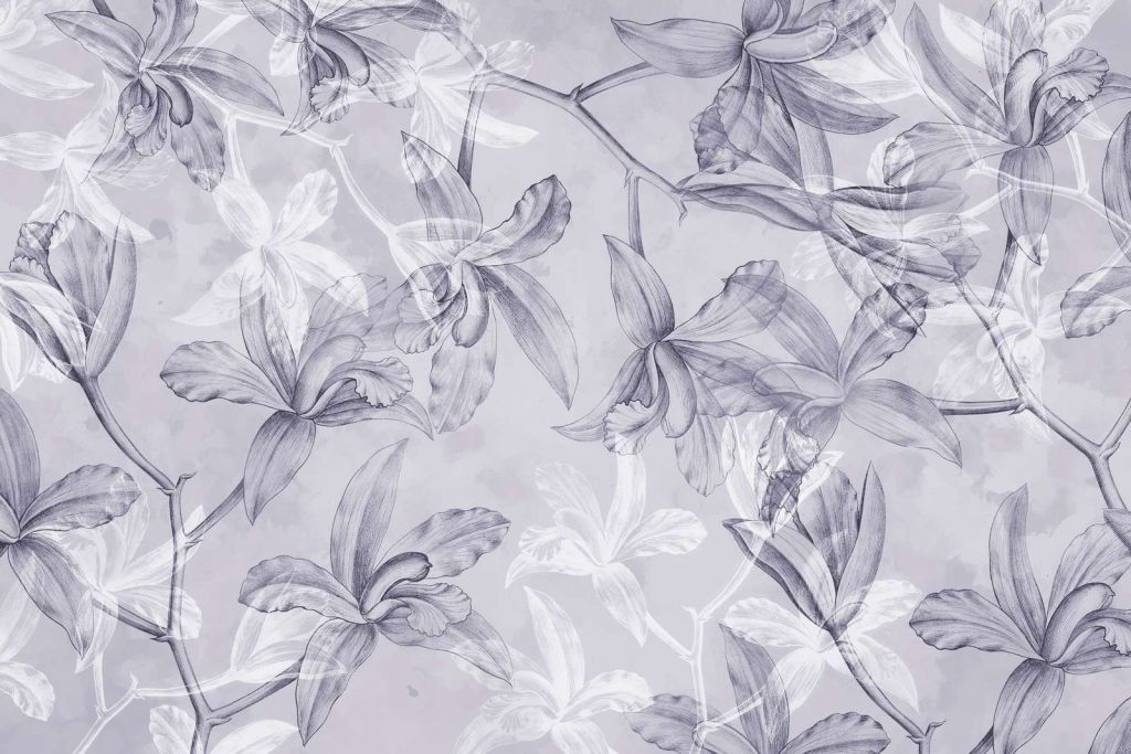 Sueño de Orquídea Púrpura