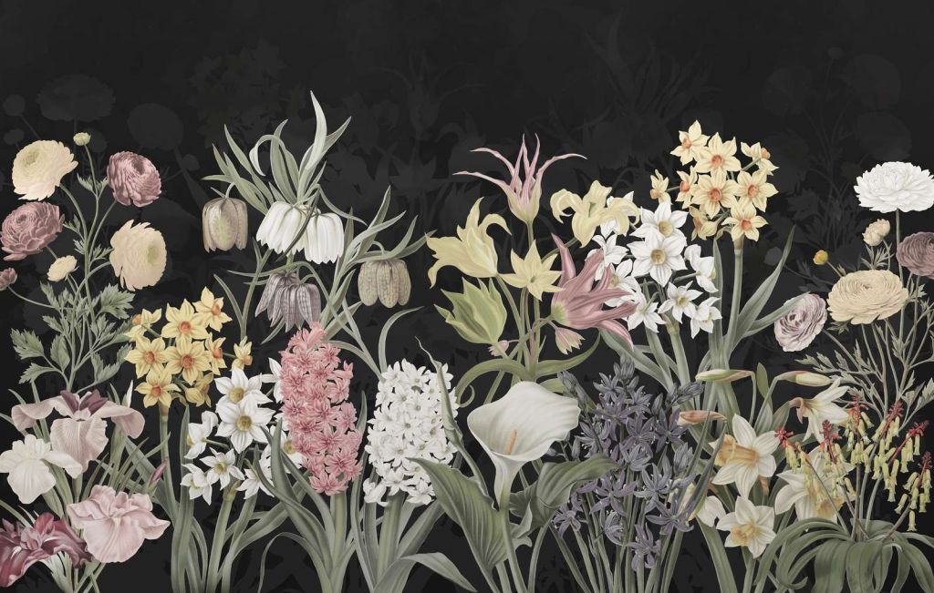 Flores de Primavera - Floración de Medianoche