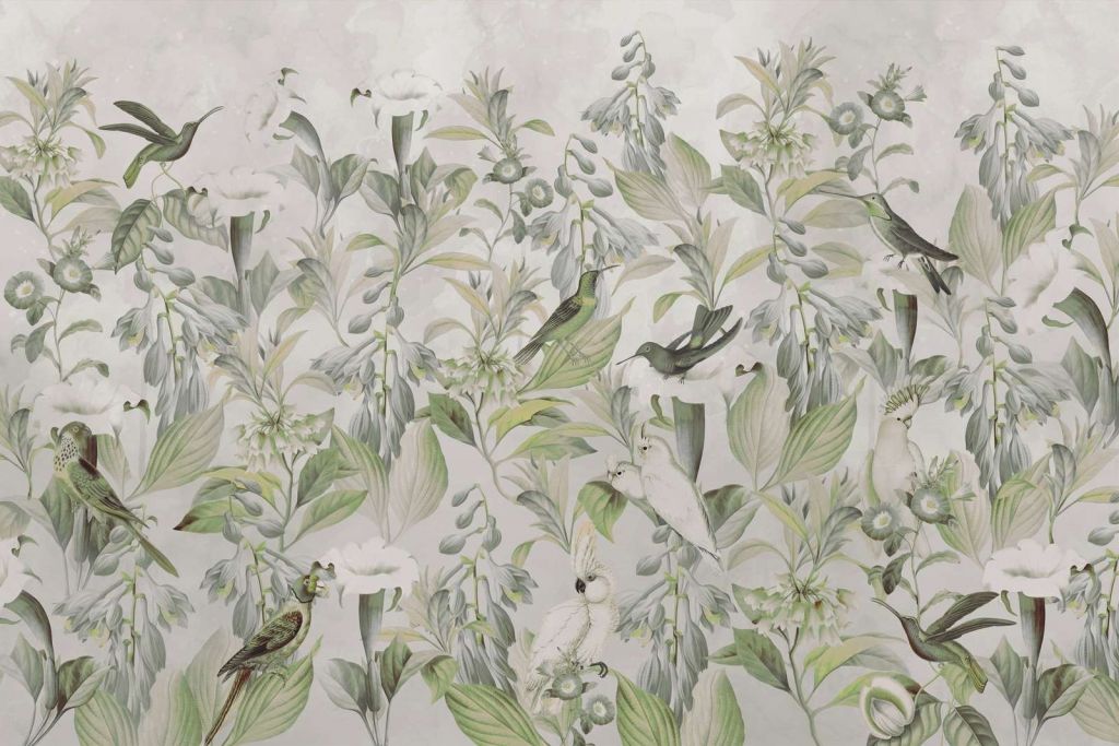 Canto Etéreo de Aves - Sinfonía Verdeante