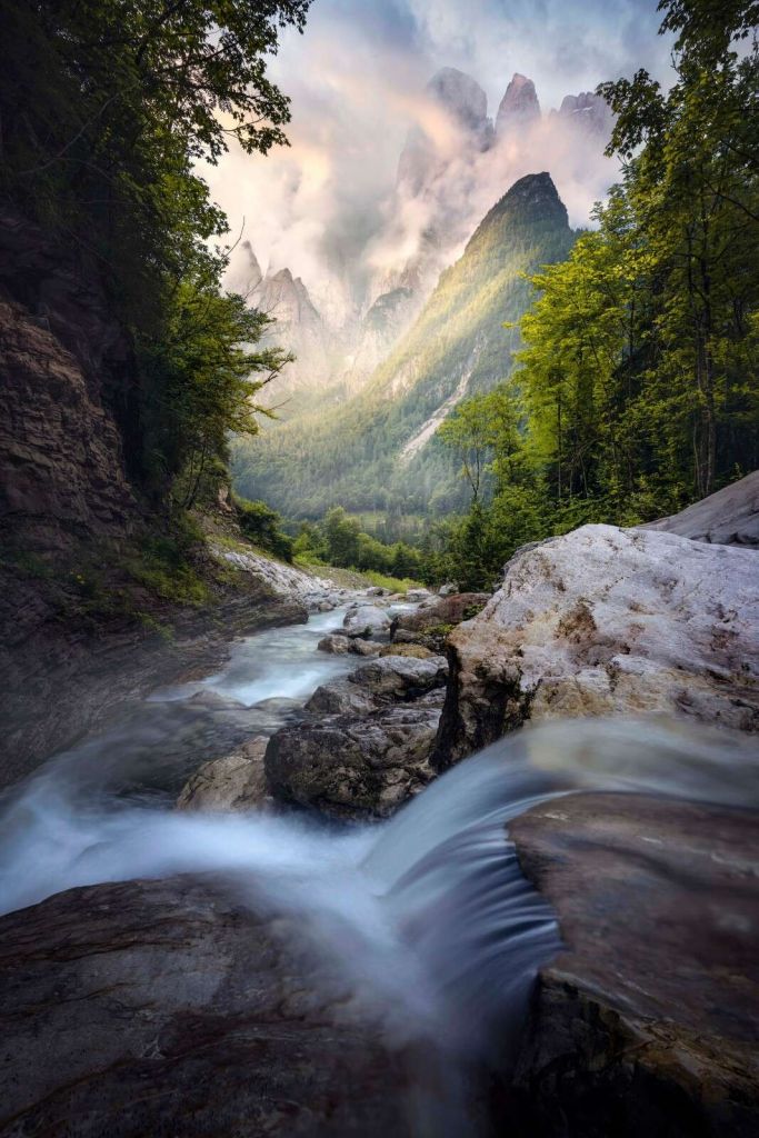 Bergstroom en la Selva