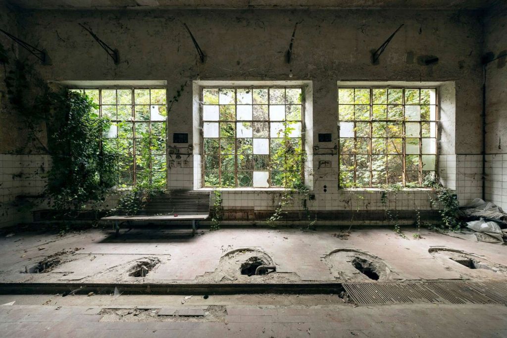 Bañera Abandonada en la Naturaleza