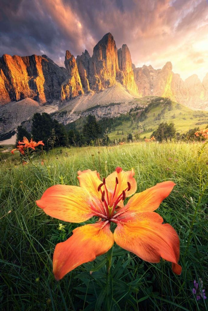 Paisaje alpino ardiente con lirios