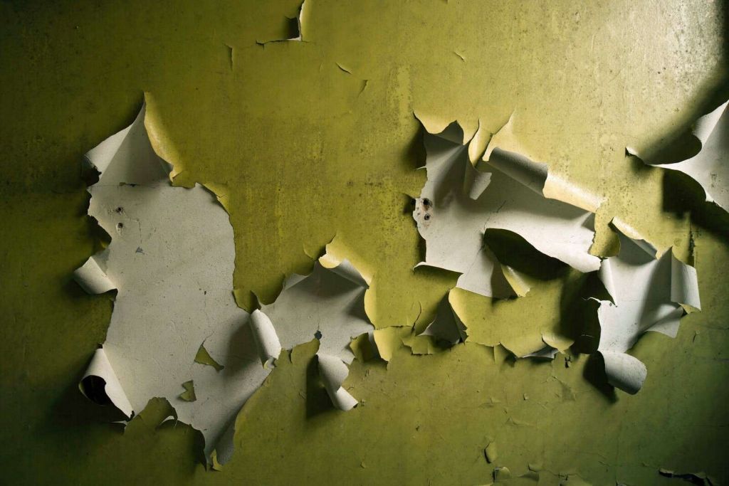 Pintura Afladderende en Pared Verde