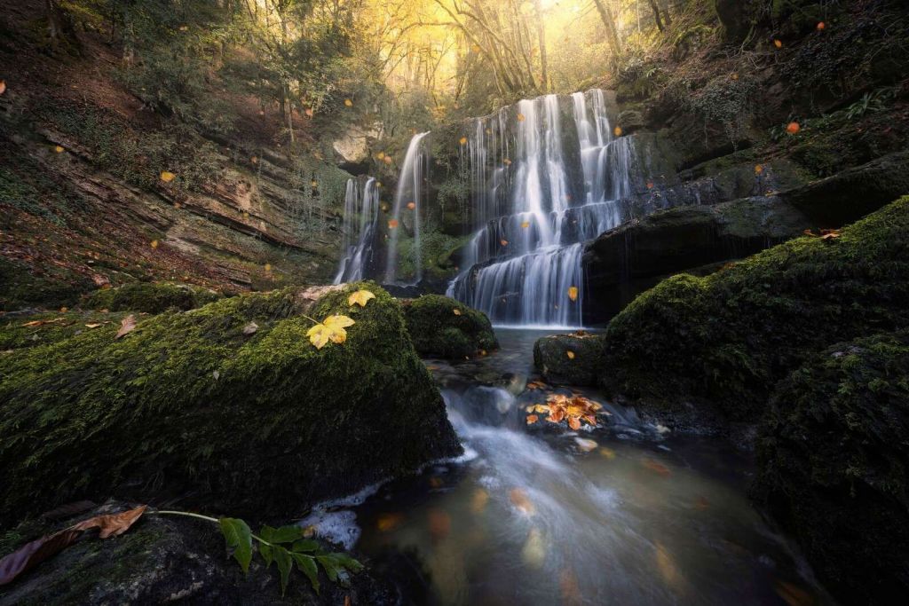 Cascada de otoño en el bosque