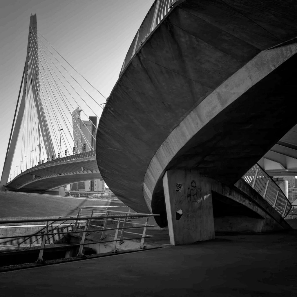 Erasmusbrug en Arquitectura Urbana