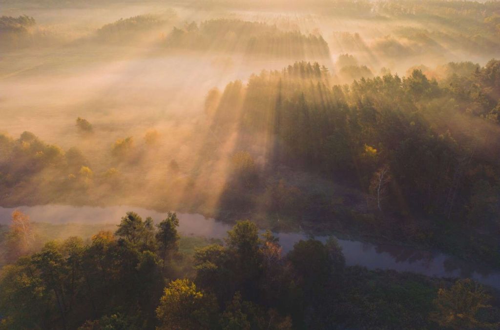 Niebla matutina soñadora en la naturaleza