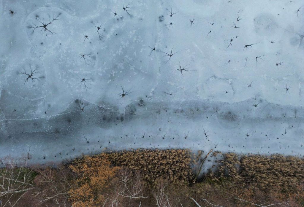 Texturas de invierno