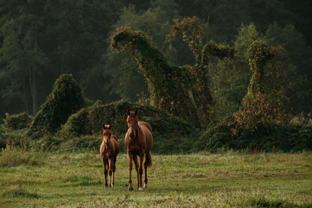 Caballos en un paisaje místico