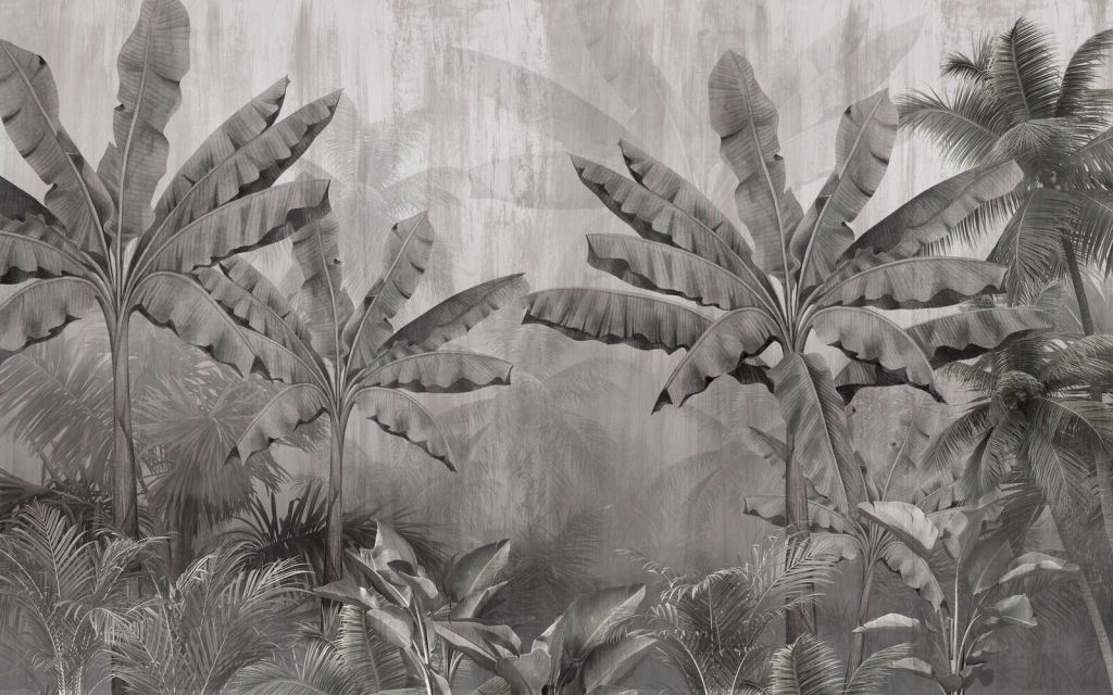 Palmas de neblina tropicales