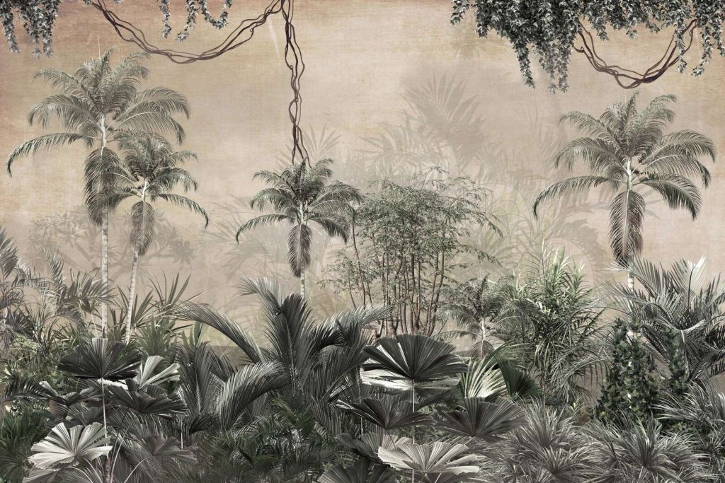 Bosque tropical en niebla