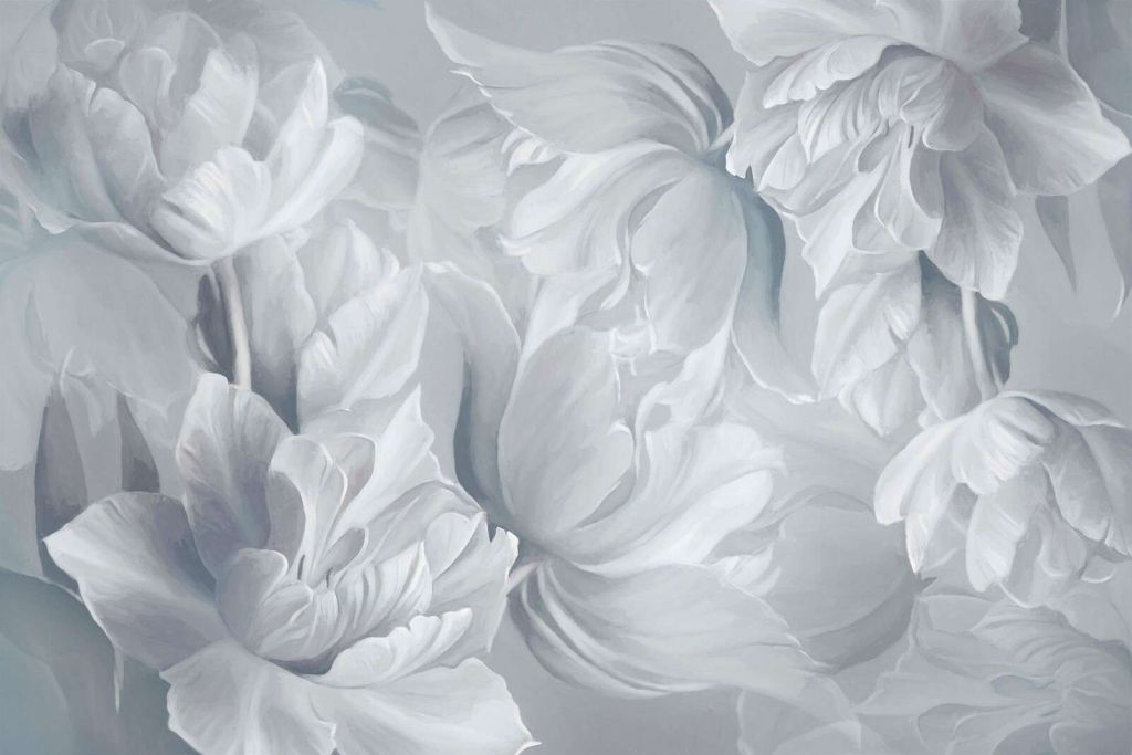 Tulipanes Grandes Blancos