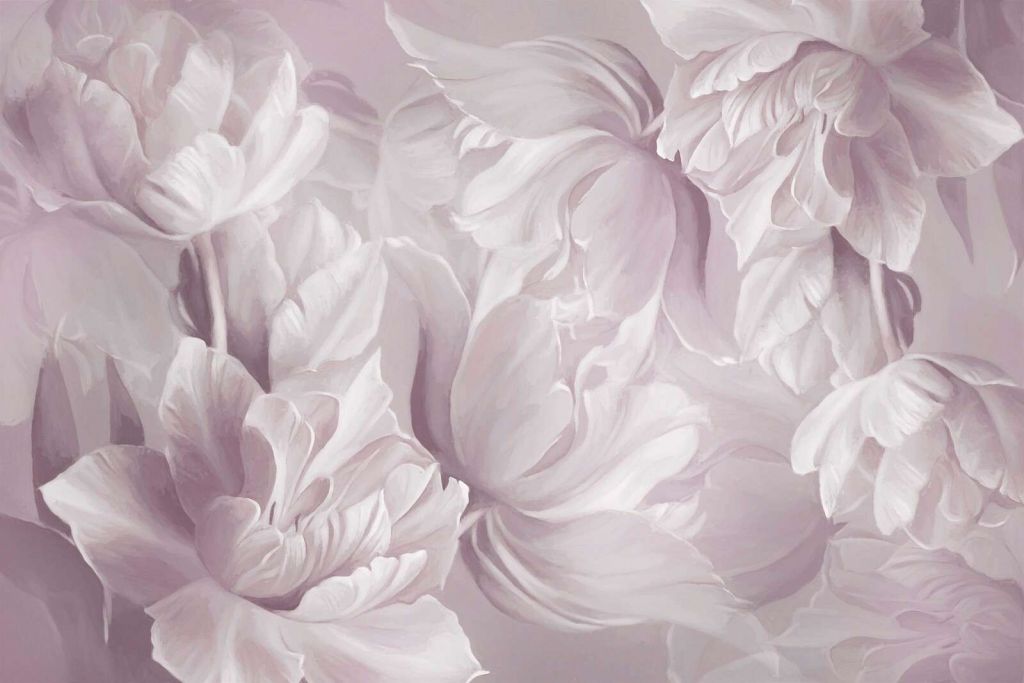 Tulipanes Grandes Suaves