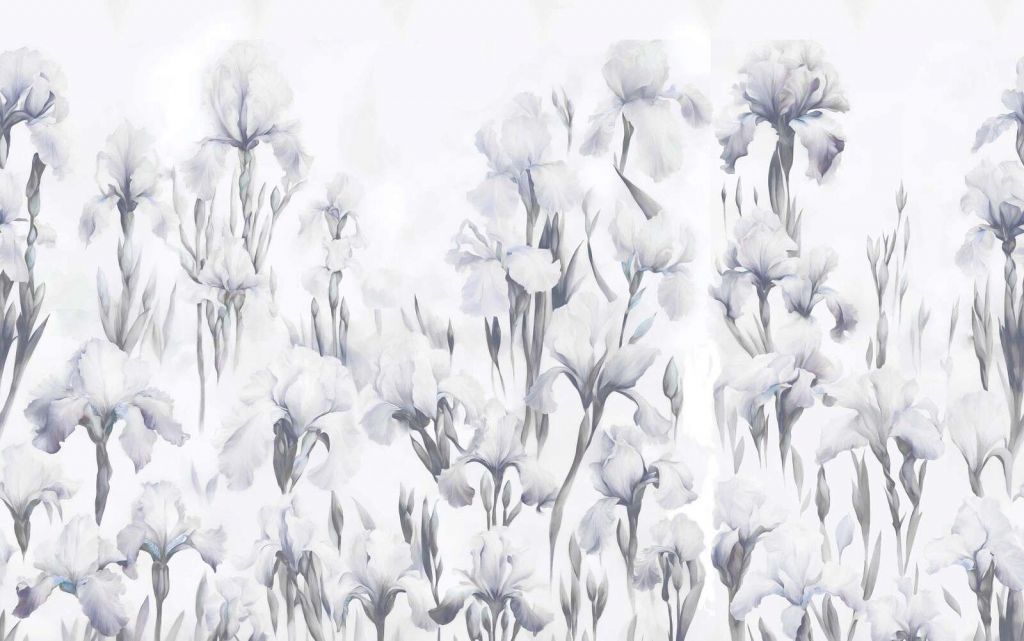 Iris bailan gris sin costuras