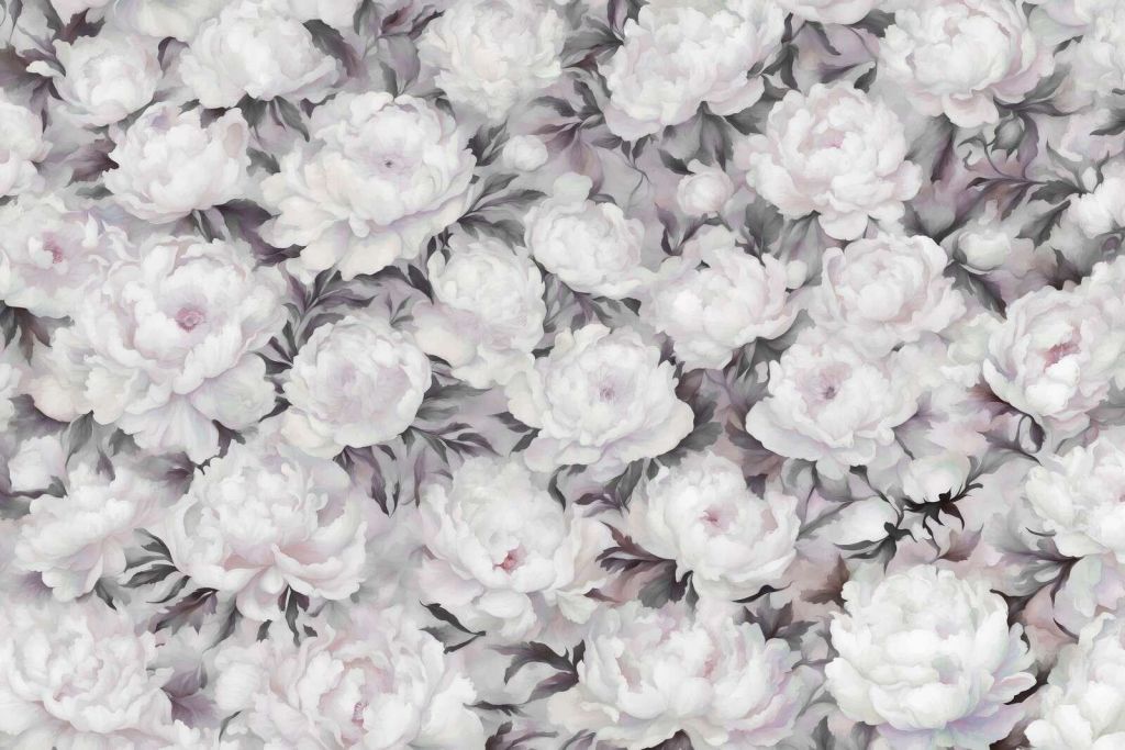 Pared Negra de Peonie