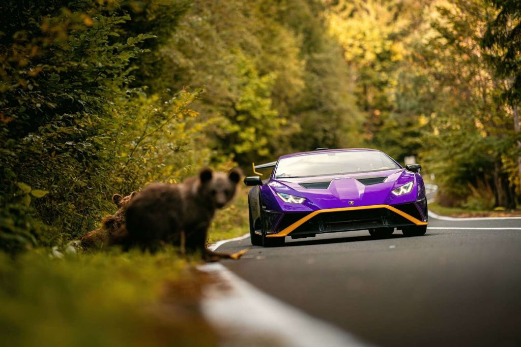 Lamborghini vs. naturaleza
