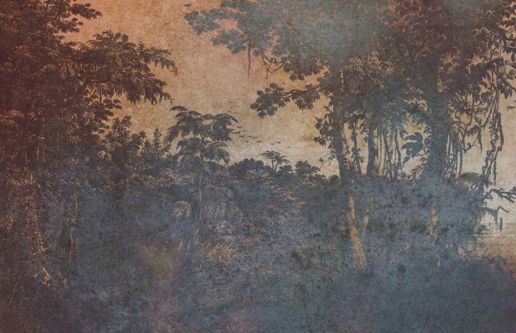 Selva desgastada en penumbra