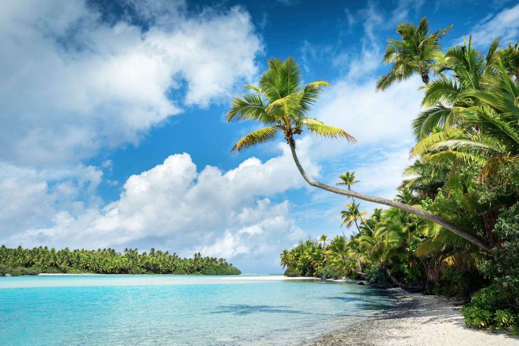 Palmeras en laguna turquesa.