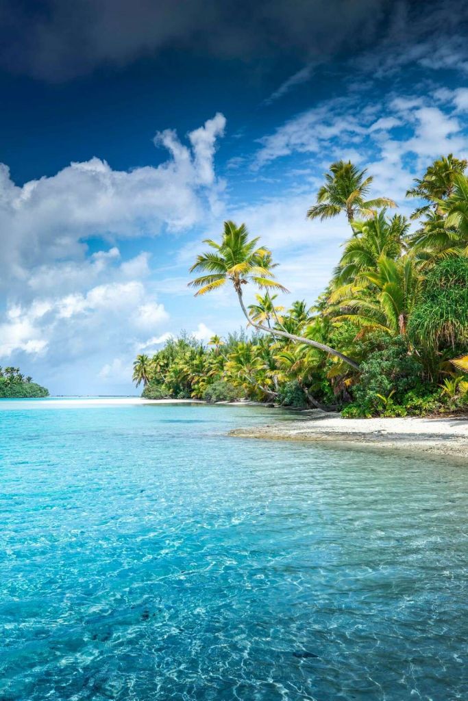 Playa tropical con palmeras
