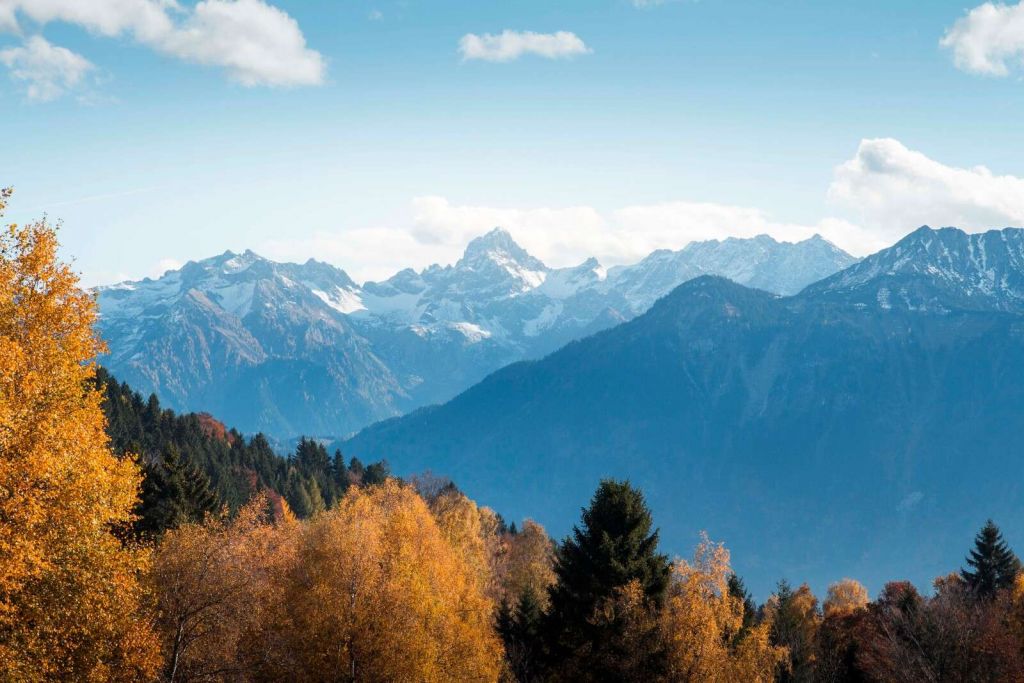 Colores de otoño para cimas de montañas nevadas.