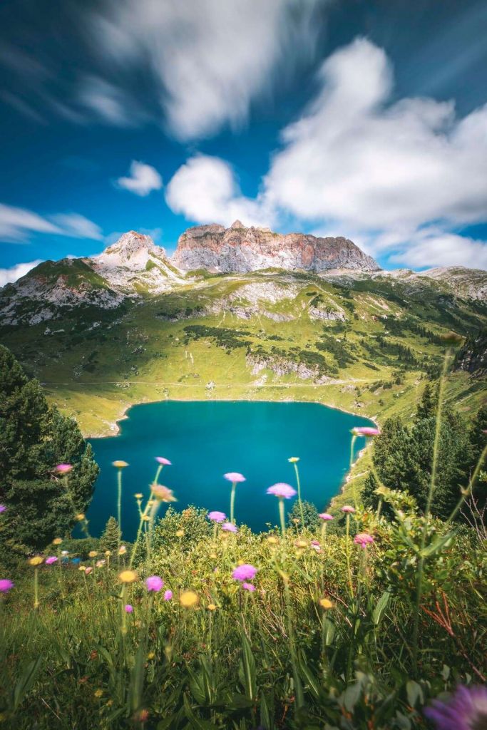 Prado de flores junto a un lago de montaña claro