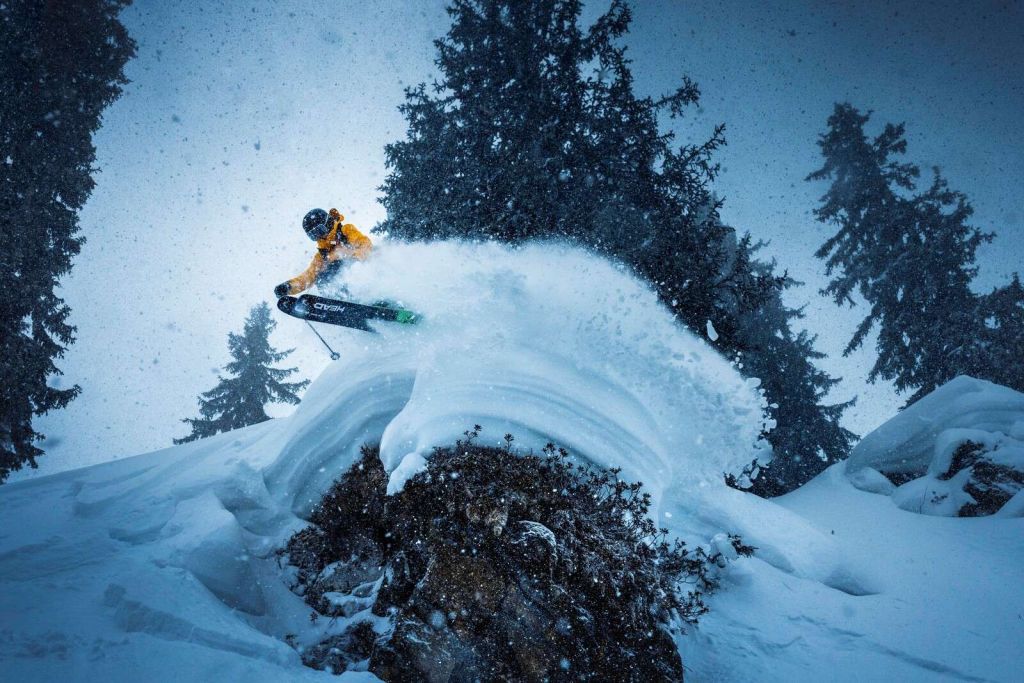 Salto en tormenta de nieve entre árboles de pino.