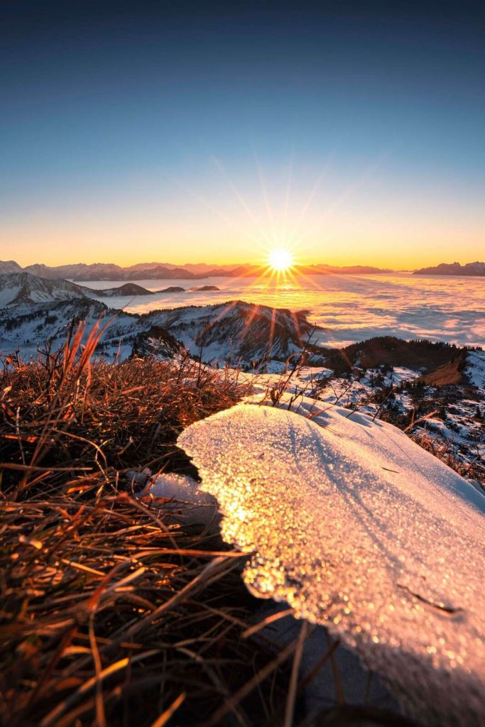 Sol de la mañana en prado de montaña brillante