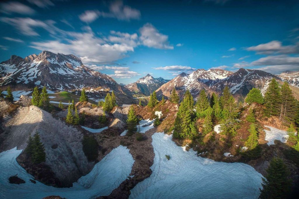 Mancha de lente sobre bosque de montaña nevado