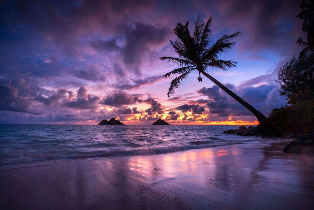 Costa Tropical en la Puesta de Sol Púrpura