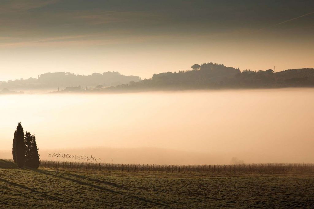 Colinas en la niebla matutina toscana