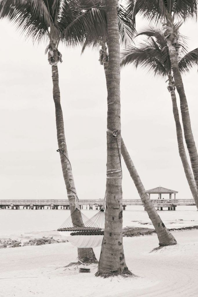 Palmeras con hamaca en sepia.